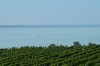 Balaton